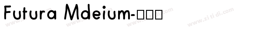 Futura Mdeium字体转换